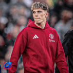 banner pbn (6)